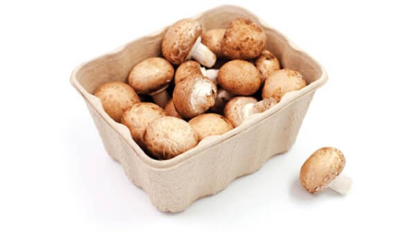 Маркетинговая и экономическая привлекательность новинок упаковки для грибов