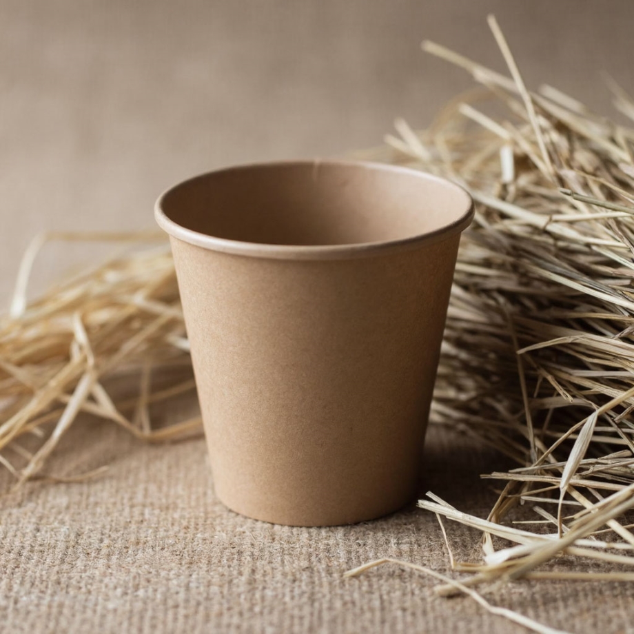 Экопосуда из соломы: алтайские учёные нашли альтернативу пластику