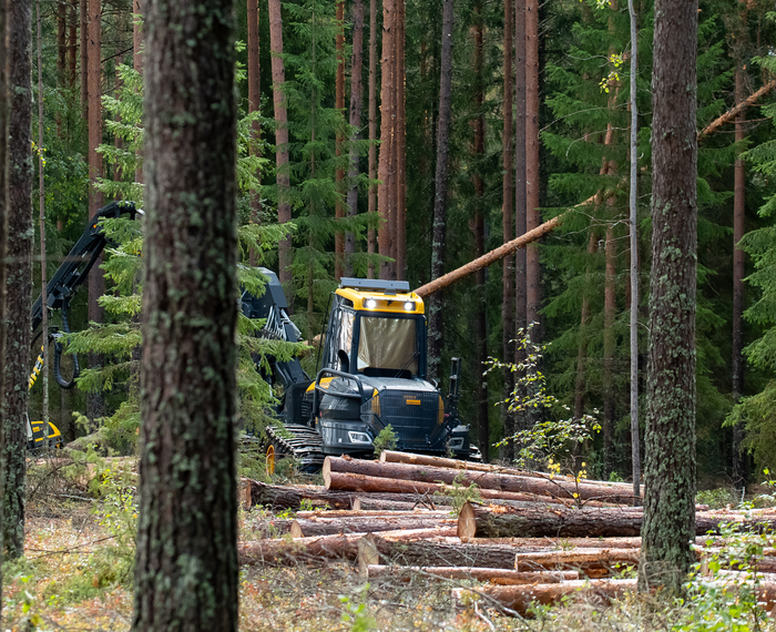 Metsä Group сокращает выбросы парниковых газов  
