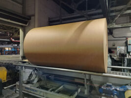 Архангельский дуэт запускает импортозамещение в ЦБП на новом уровне