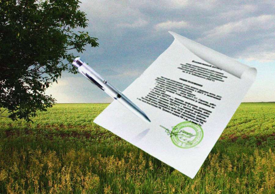 Рослесхоз: сокращены сроки рассмотрения поправок в проектах освоения лесов