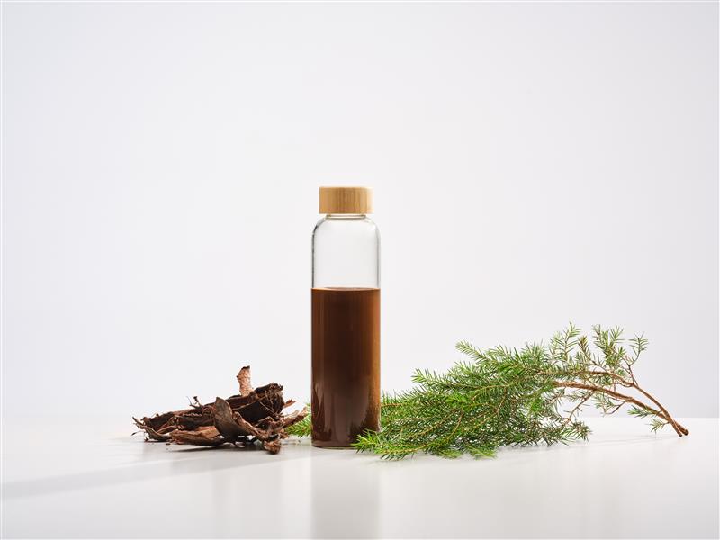 Шаг в экологичное будущее: Södra инвестирует в производство танина 