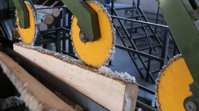 В Беларуси утверждена программа развития лесопромышленного комплекса до 2030 года