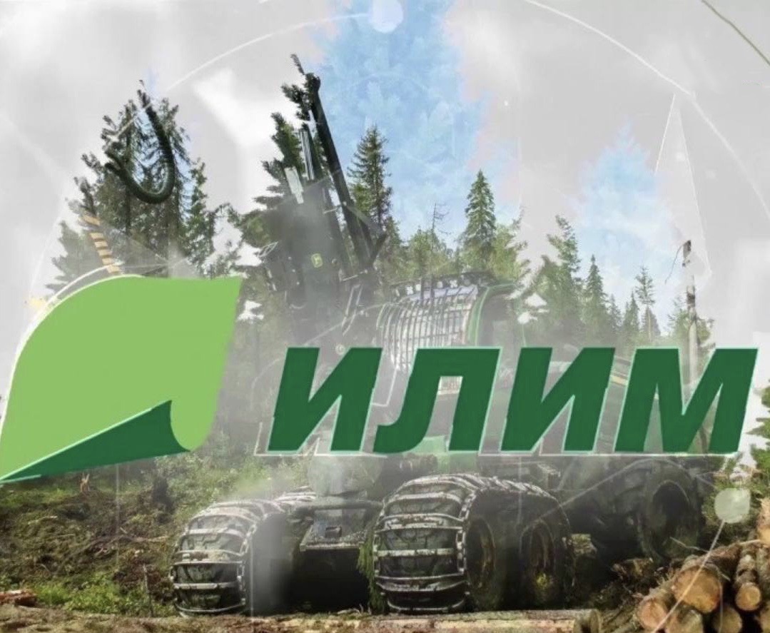 Группа «Илим» проведет лесовосстановление на сумму более 700 млн рублей