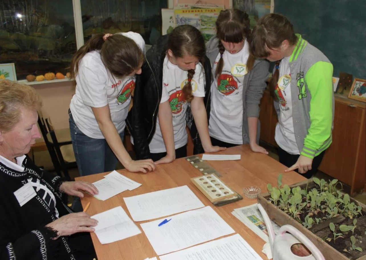 Курсы по экологии в начальной школе предложили закрепить законодательно 