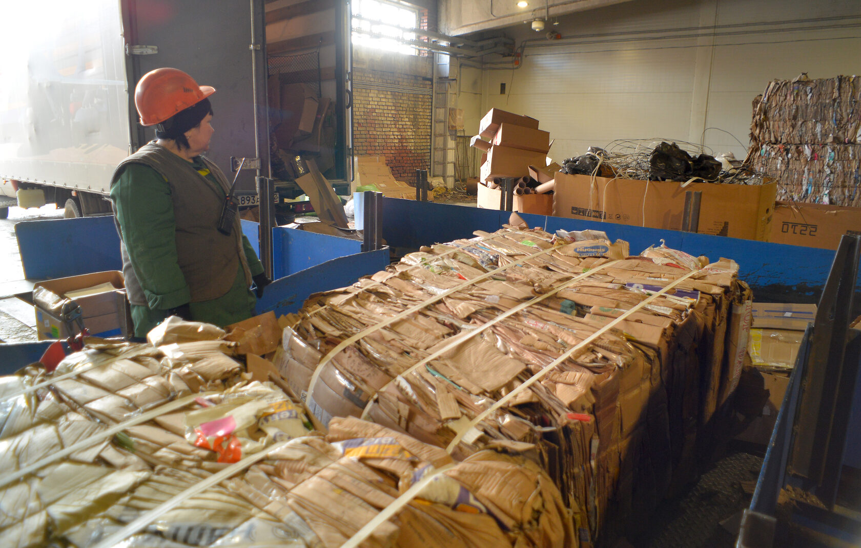 Экологическая акция «От листа к листу»: Кузбасс спасает деревья и озеленяет города