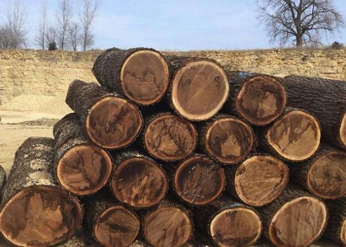 Цены на хвойную целлюлозу в Китае колеблются на низком уровне