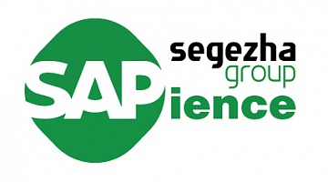 Segezha Group модернизирует цифровое пространство компании
