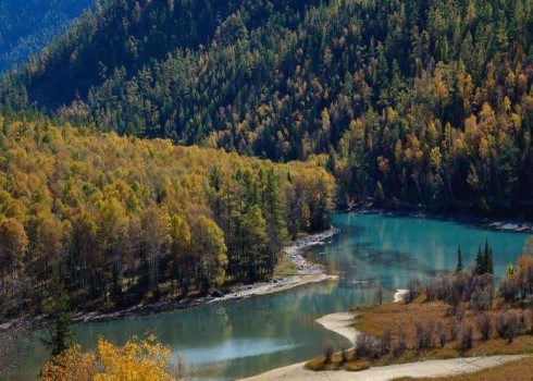 Цены на целлюлозу в Китае продолжили снижение в январе 2026 года