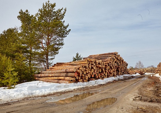 Итоги работы Сегежа Групп в 2025 году