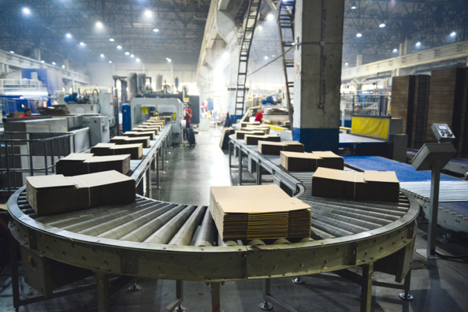 Зеленый картон Сибири