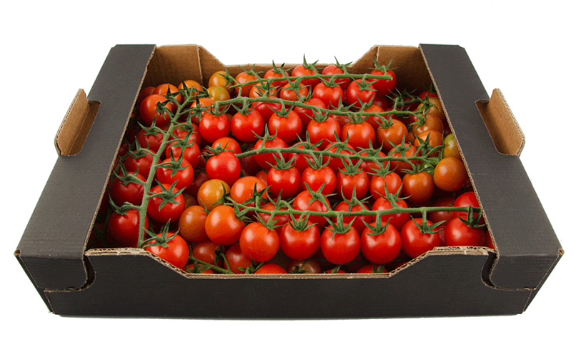 Восстановление баланса рынков тарного картона и упаковки из гофрокартона