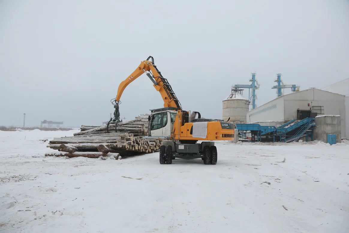 Единоличным исполнительным органом ЦБК «Кама» стало юридическое лицо