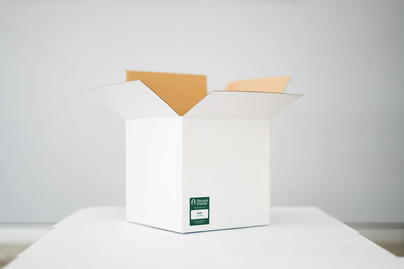 Кузбасский СКАРАБЕЙ подтвердил экологическую ответственность