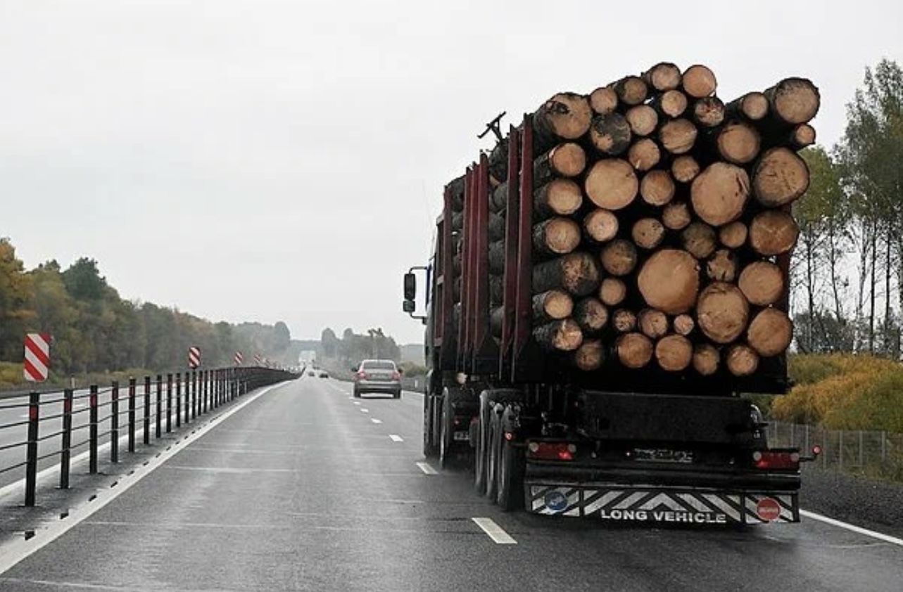 Правительством РФ определен порядок перевозки для продукции ЛПК 