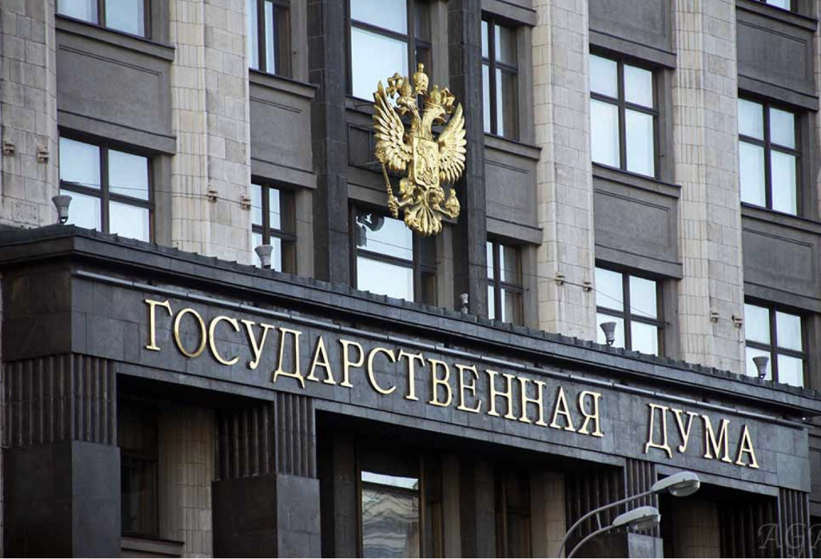 Оборот древесины под контролем: Госдума РФ приняла в первом чтении поправки в КоАп
