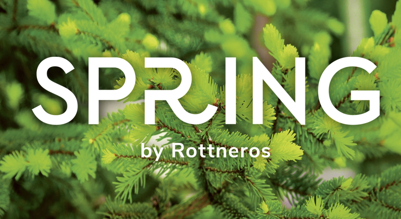 Spring by Rottneros: новый бренд для растущего рынка картона и его перспективы 
