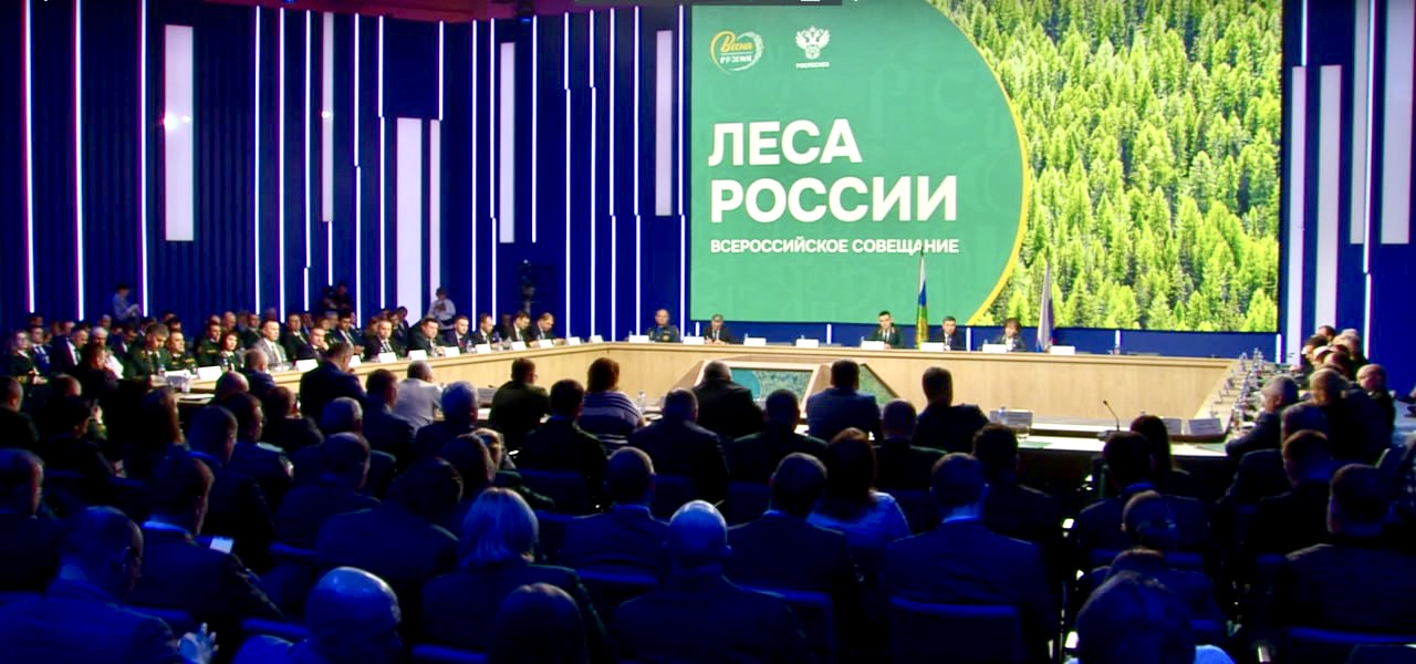 Segezha Group предлагает меры по улучшению положения в лесной промышленности России