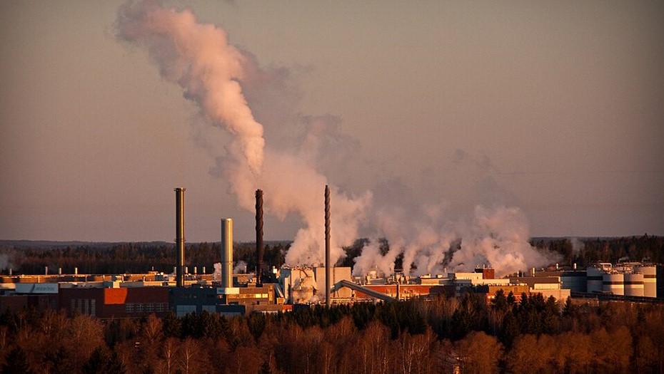 Крупнейший мировой производитель журнальной бумаги сокращает мощности