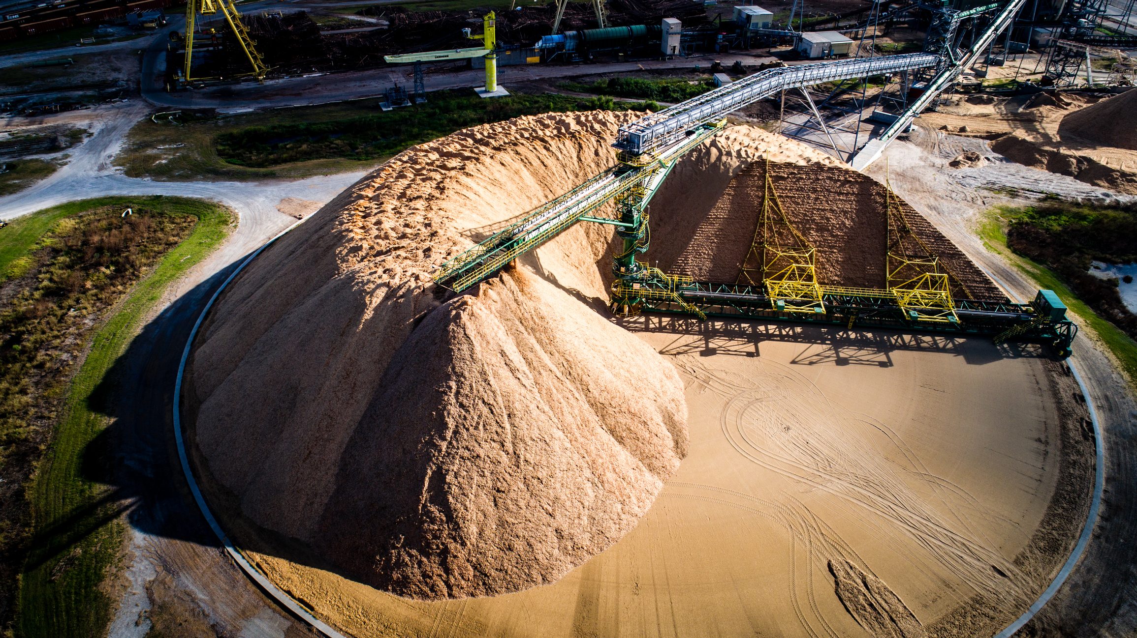 Сокращение мощностей станет ключом к восстановлению мирового рынка целлюлозы в 2026 году