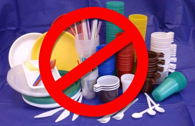 ЕС начинает поэтапный отказ от одноразового пластика. Первые запреты вступят в силу в 2026 году