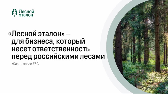 «Лесной эталон» заинтересовал ритейл и производителей лесобумажной продукции