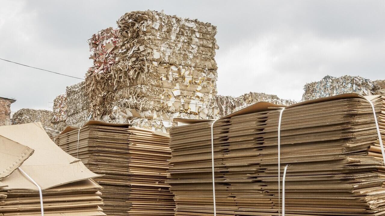 В Беларуси введено лицензирование на вывоз макулатуры
