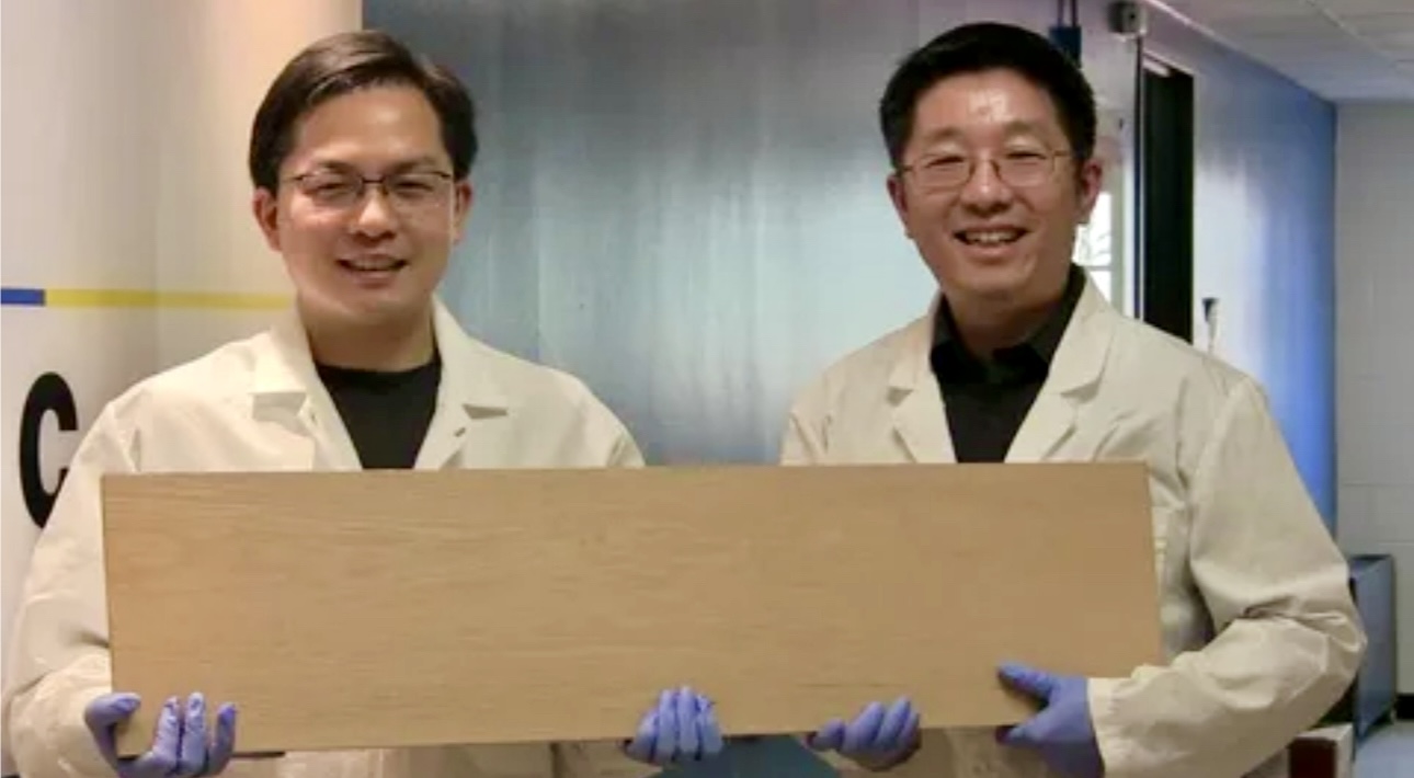 В Китае разработали технологию получения сверхпрочной древесины