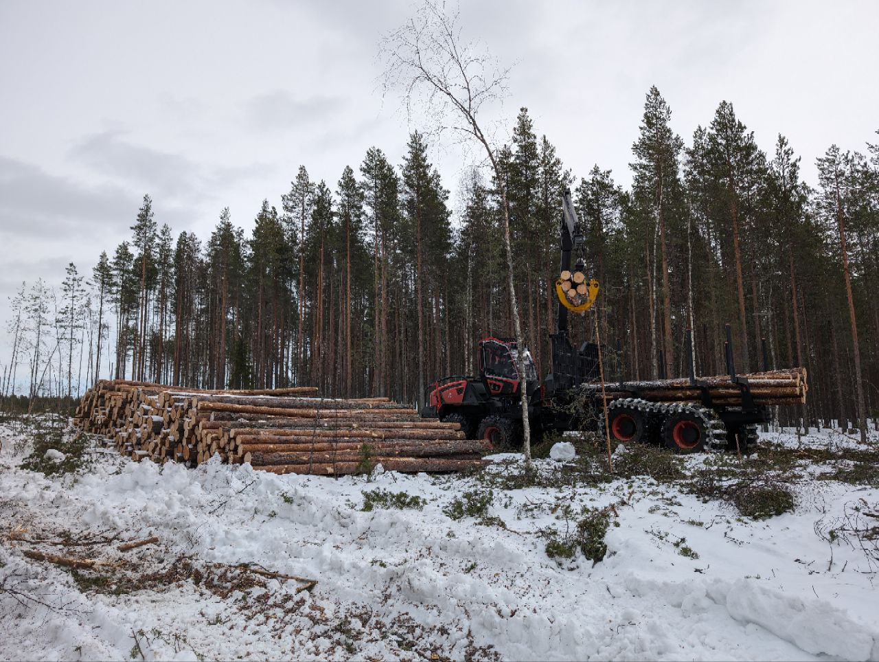 Сегежский ЦБК начал испытания лесозаготовительной техники, созданной в партнёрстве с «КАМАЗом»