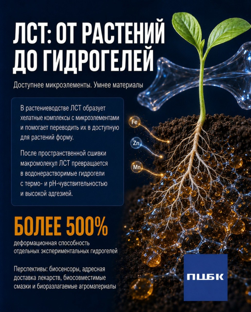 слайд9 (3).jpg слайд9 (3).jpg